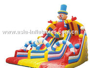 Home Use Inflatable Slide With Arches For Birthday Party
