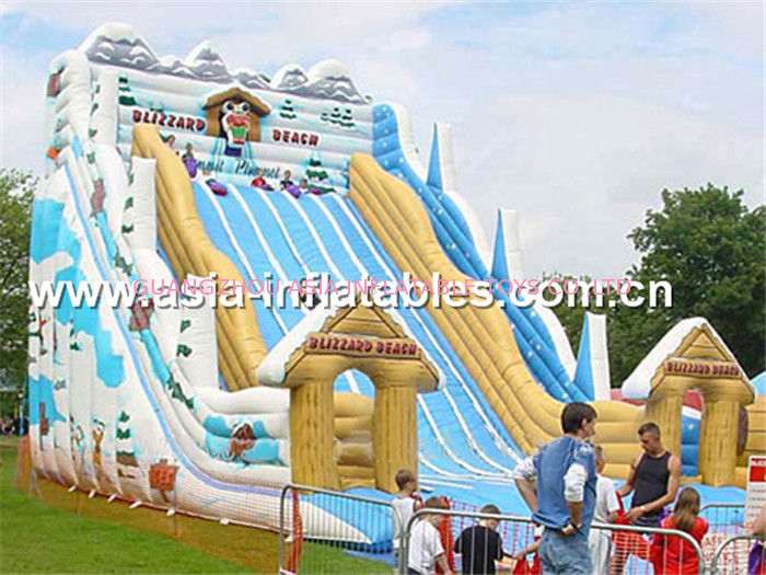 Hot Summer Water Games, Giant Inflatable Slide In Winter Snow Style